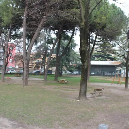 I Gatti Delle Foreste * Vérone